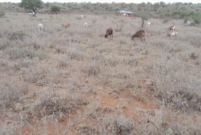 1 ha Land at Saikeri