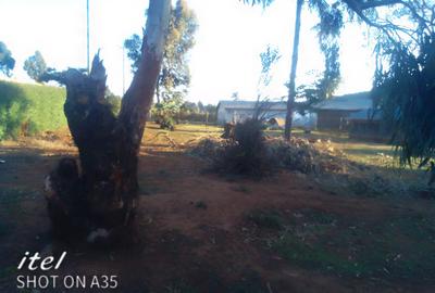 Residential Land in Ndeiya - 4