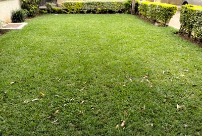 5 Bed Townhouse with En Suite in Lavington