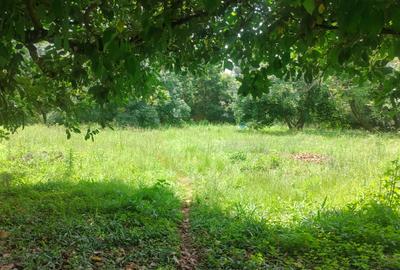 Land at Tree Ln