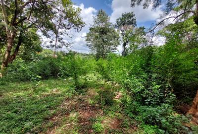 Residential Land at Runda Grove - 4