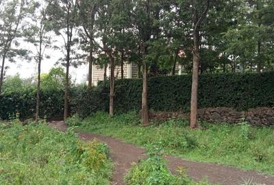 1 ac Land at Kona Baridi