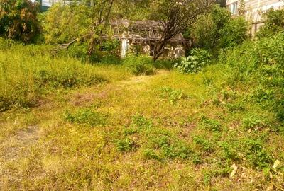 1 ac Land at Rapta Road