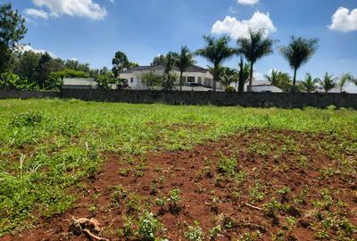Residential Land in Runda - 3