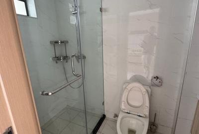 Studio Apartment with En Suite in Ruaka - 4