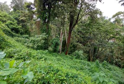 0.5 ac Land in Kitisuru