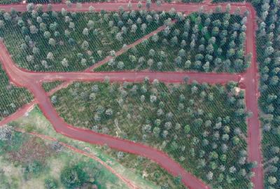 500 m² Residential Land at Oaklands
