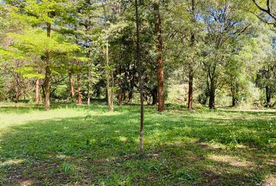 Land at Windy Ridge