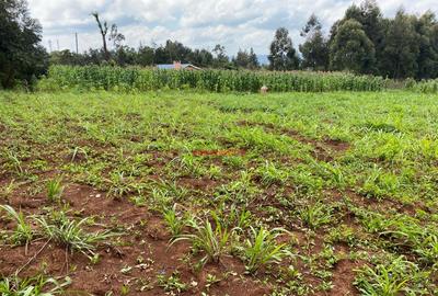 0.05 ha Residential Land in Kikuyu Town