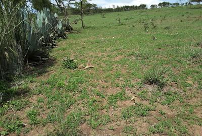 4 ac Residential Land in Kiserian