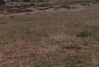 Land at Tala- Nguluni
