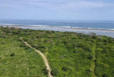Residential Land at Mt Kenya - 3