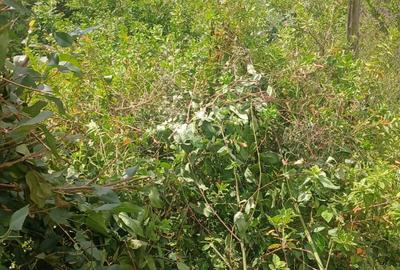 Land in Ngong