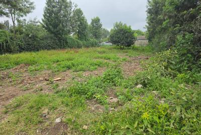 Land at Matasia