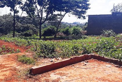 Land in Ruaka - 4