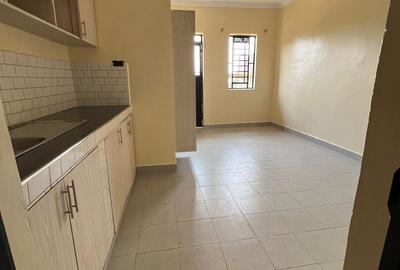 Studio Apartment with En Suite at Kirigiti Near International Stadium - 4
