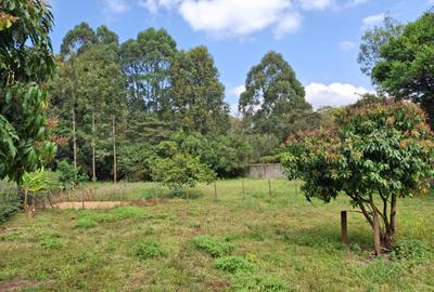 0.5 ac Residential Land at Nandi Road