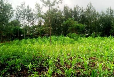 Residential Land at Kenol