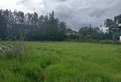 0.5 ac Residential Land in Karen Hardy - 3