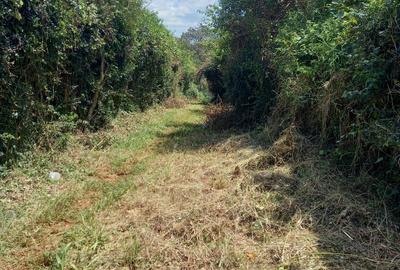 1 ac Residential Land in Runda - 4