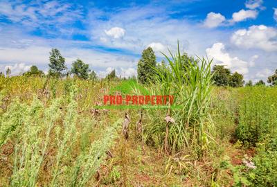 0.05 ha Residential Land at Kamangu