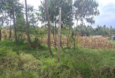 0.25 ac Land in Kamangu - 3