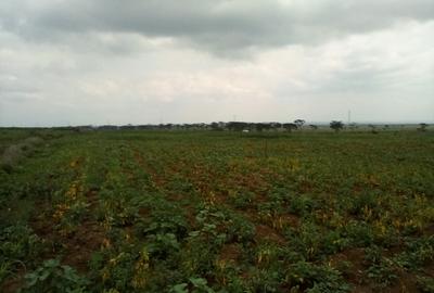 Land at Nanyuki-Rumuruti Rd