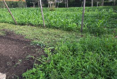 500 m² Residential Land in Ongata Rongai