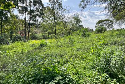 Residential Land at Westlands - 3