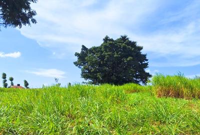 8 ac Land at Gikuni