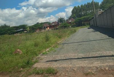 0.229 ac Commercial Land at Masai Lodge