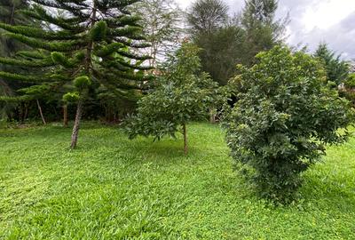 Commercial Land in Lavington