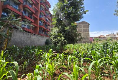 Commercial Land in Ruaka - 3