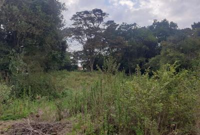 Residential Land in Karen