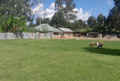 Land in Karen