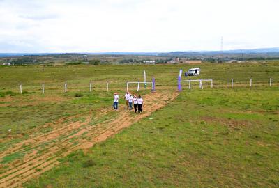 Residential Land in Naivasha - 3