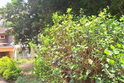 0.44 ac Commercial Land at General Mathenge