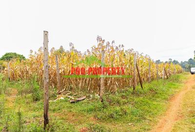 0.05 ha Residential Land in Kikuyu Town - 3