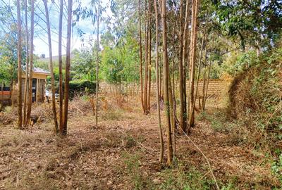 500 m² Residential Land at Gikambura Primary - 4