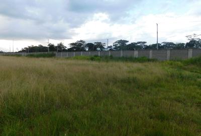 Residential Land in Karen