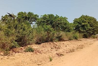 4 ac Land at Matsangoni - 4