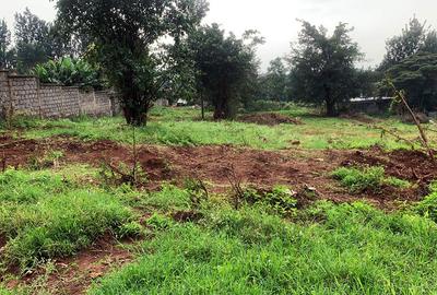 Land in Thindigua - 2