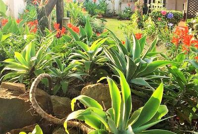 2 Bed House with En Suite in Gigiri - 4