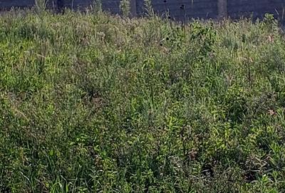 36 ac Land in Kikuyu Town - 2