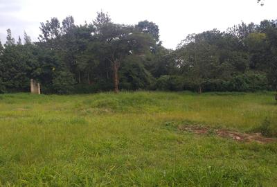 Land in Kitisuru