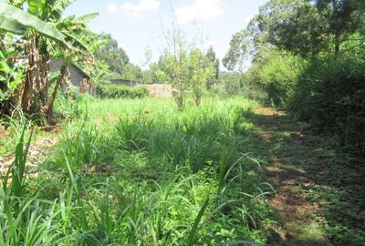 Land at Off Limuru Rd - 2