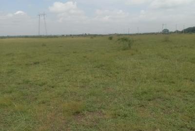 Land in Juja Farm