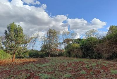 Residential Land at Thindigua - 2
