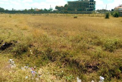 Residential Land at Chuna