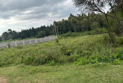 Residential Land in Karen